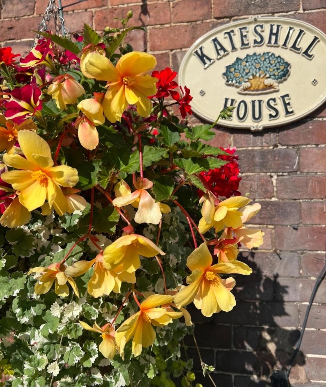 Kateshill House Bed & Breakfast ビュードリー エクステリア 写真